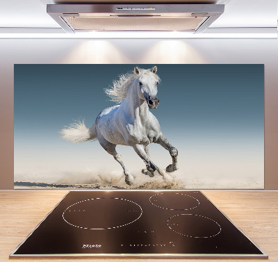 Cooker splashback White horse at a gallop