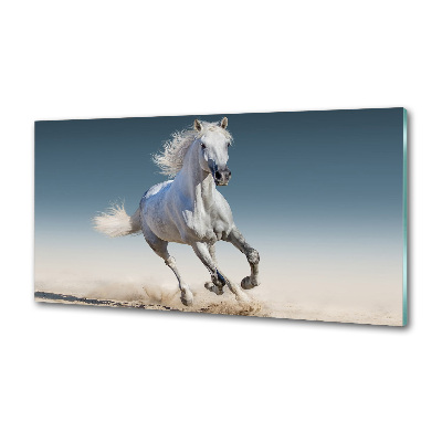 Cooker splashback White horse at a gallop