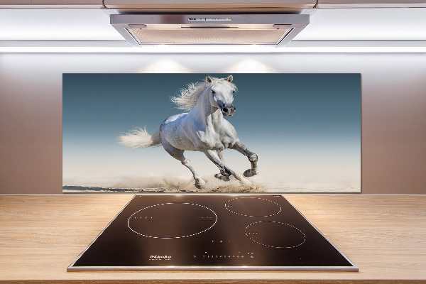 Cooker splashback White horse at a gallop