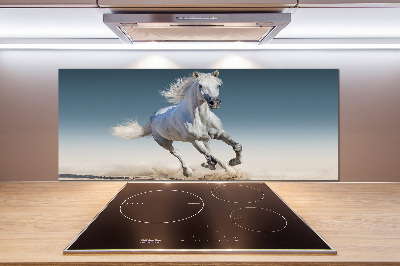 Cooker splashback White horse at a gallop