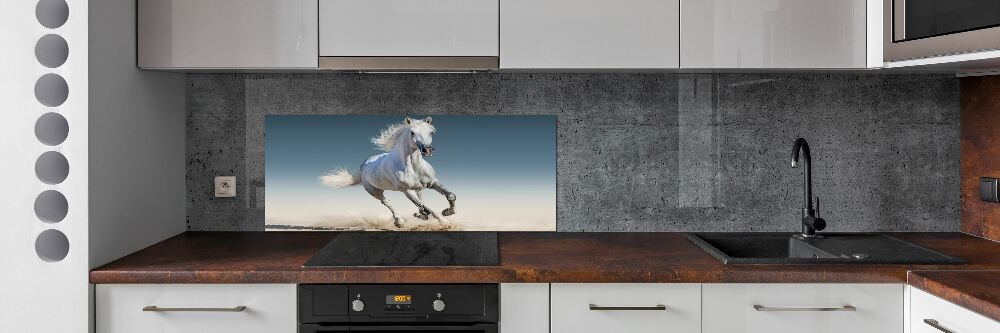 Cooker splashback White horse at a gallop