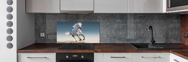 Cooker splashback White horse at a gallop