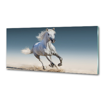 Cooker splashback White horse at a gallop