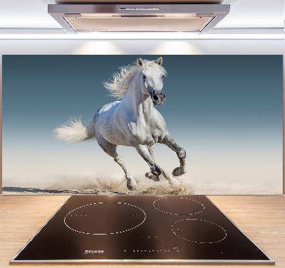 Cooker splashback White horse at a gallop