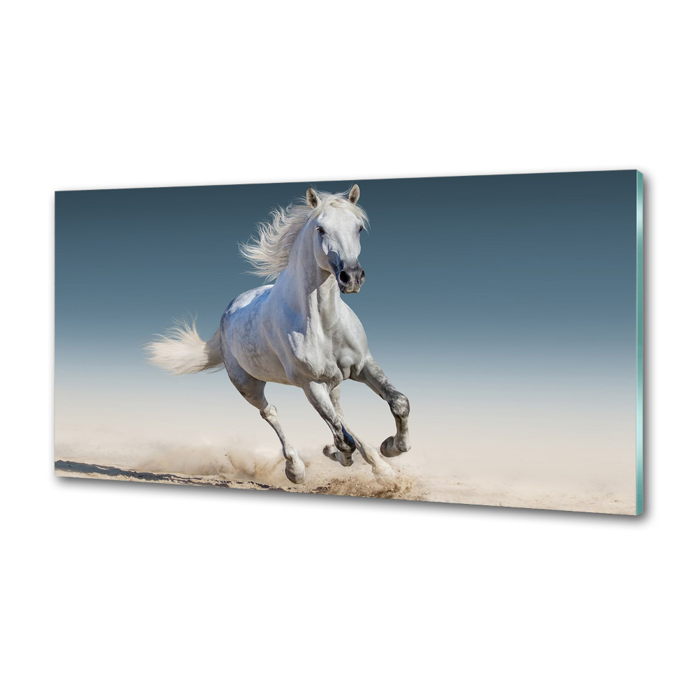 Cooker splashback White horse at a gallop