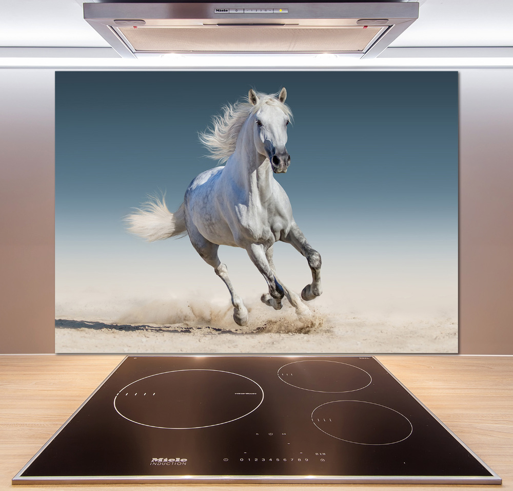 Cooker splashback White horse at a gallop