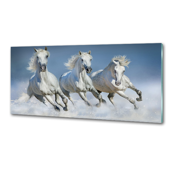 Cooker splashback Horses at gallop