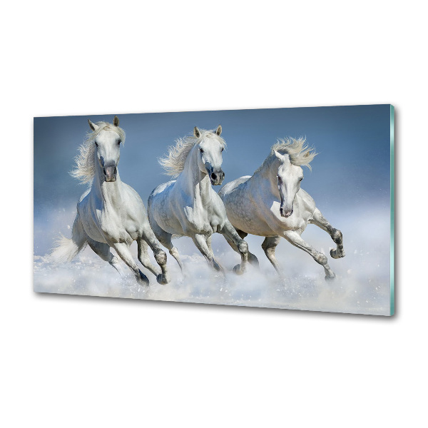 Cooker splashback Horses at gallop