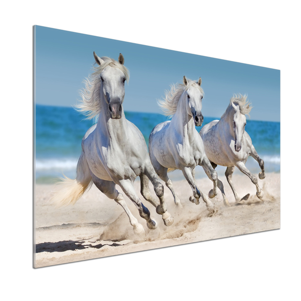 Cooker splashback White horses beach