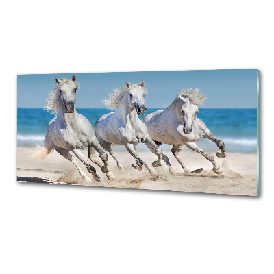 Cooker splashback White horses beach