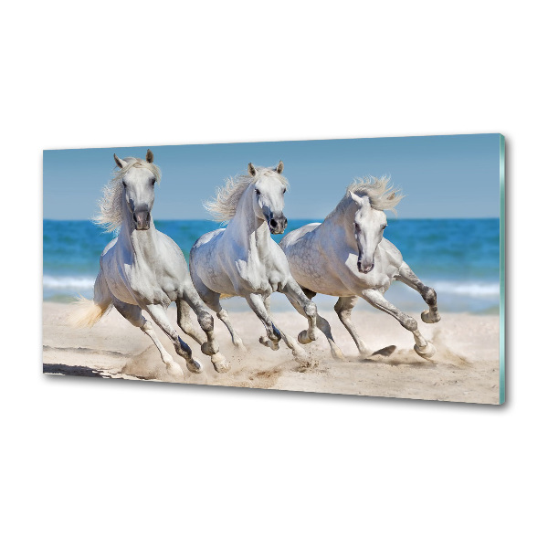 Cooker splashback White horses beach