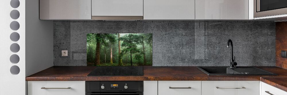 Cooker splashback Fog in the forest