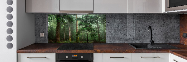 Cooker splashback Fog in the forest