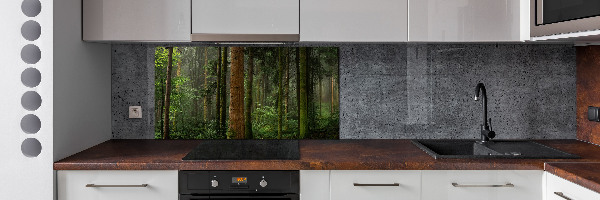 Cooker splashback Fog in the forest