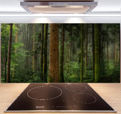 Cooker splashback Fog in the forest