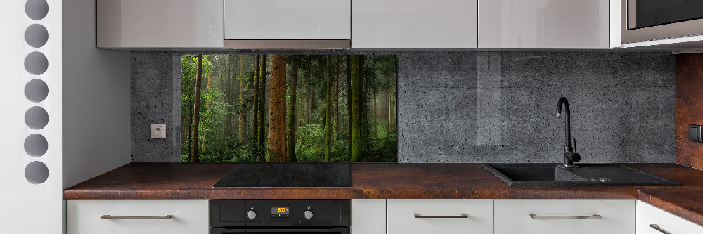 Cooker splashback Fog in the forest