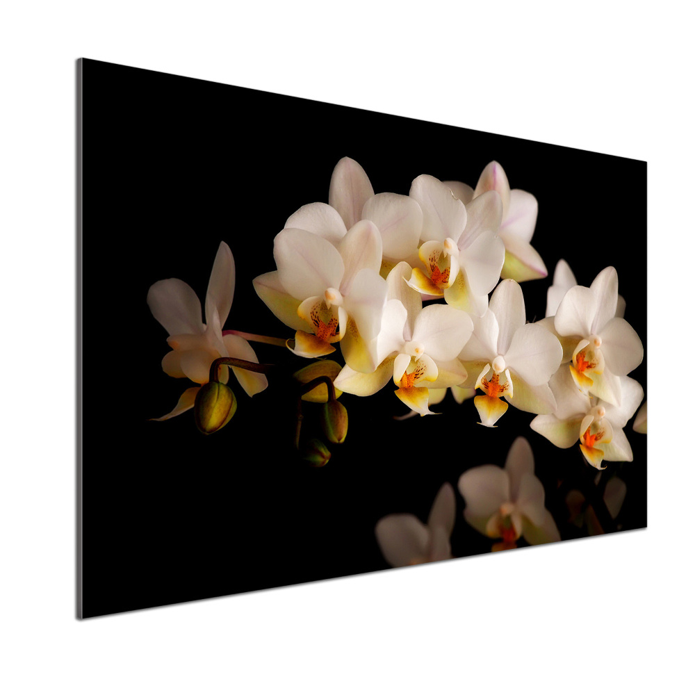 Cooker splashback Orchid