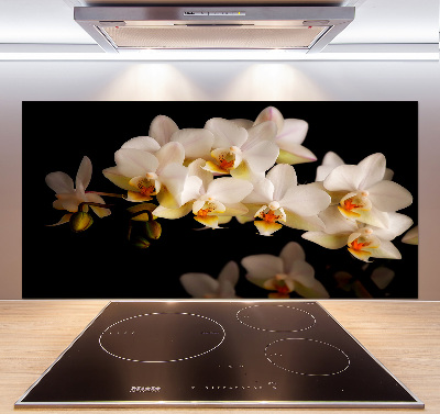 Cooker splashback Orchid