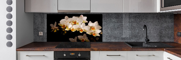 Cooker splashback Orchid