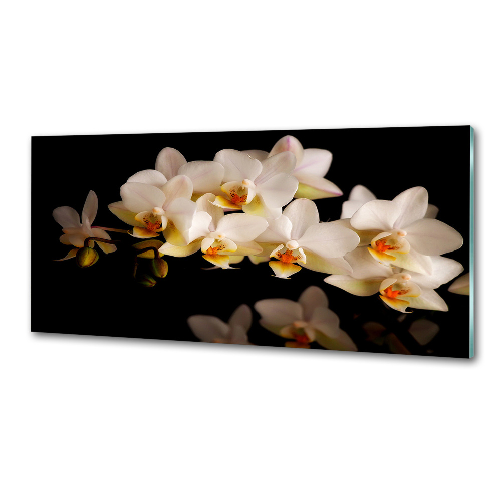 Cooker splashback Orchid