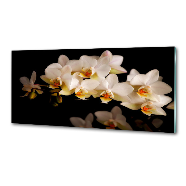 Cooker splashback Orchid