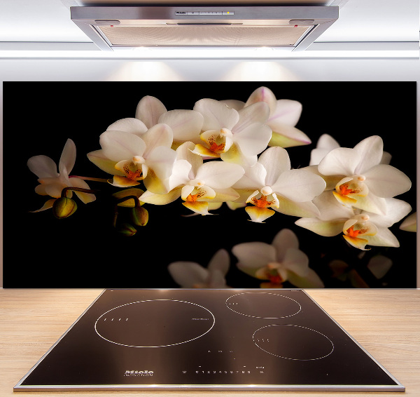 Cooker splashback Orchid