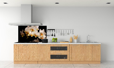 Cooker splashback Orchid