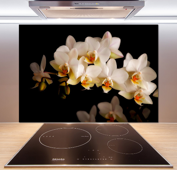 Cooker splashback Orchid