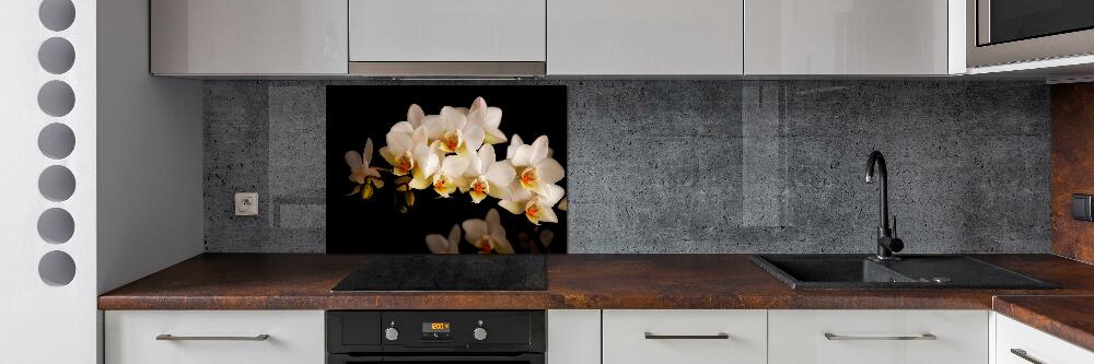 Cooker splashback Orchid