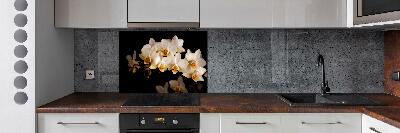 Cooker splashback Orchid