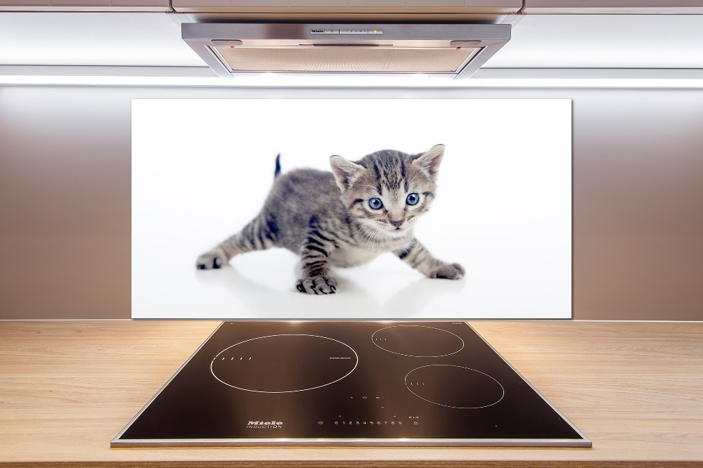 Cooker splashback Small cat