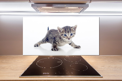 Cooker splashback Small cat