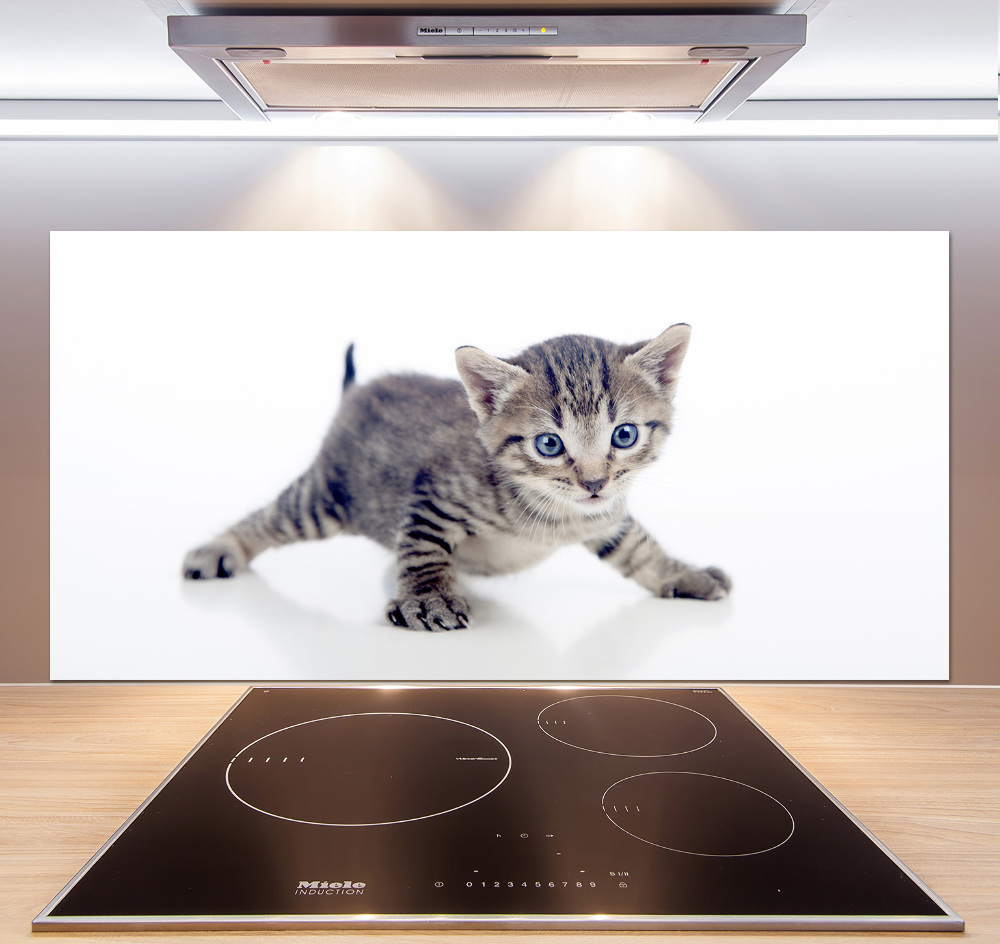 Cooker splashback Small cat