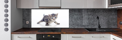 Cooker splashback Small cat