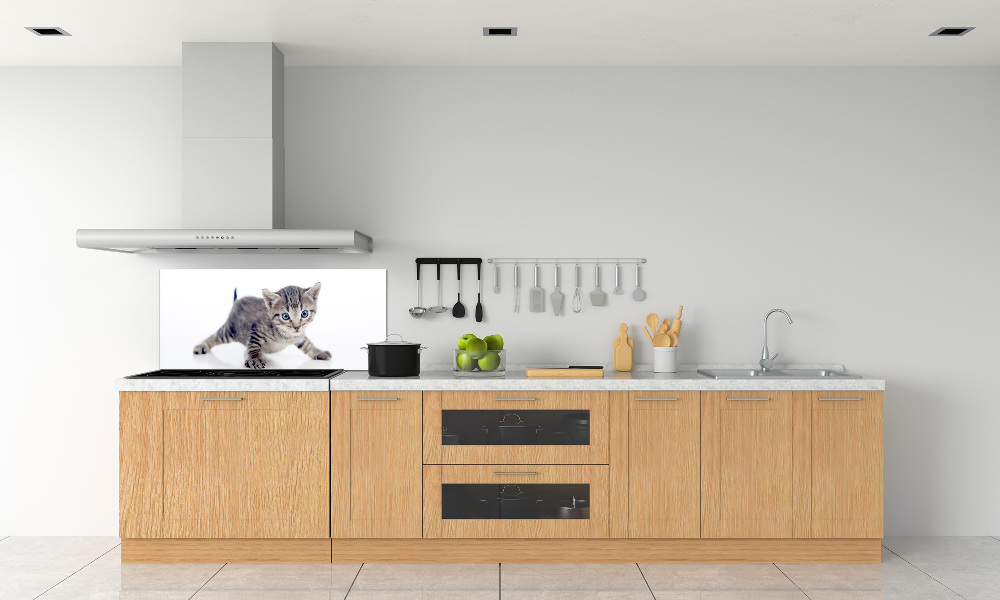 Cooker splashback Small cat