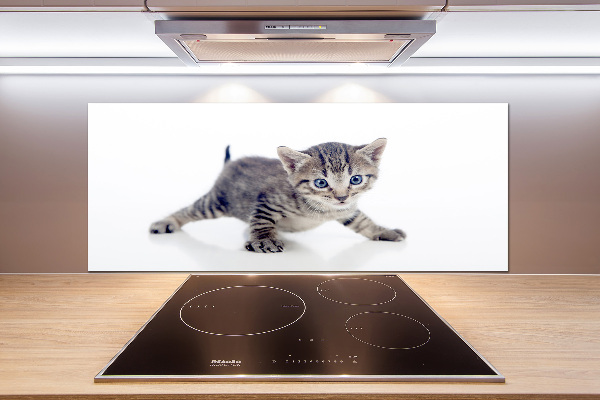 Cooker splashback Small cat