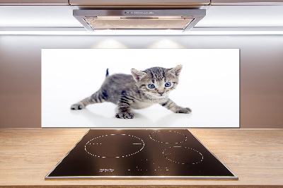 Cooker splashback Small cat