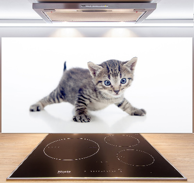 Cooker splashback Small cat