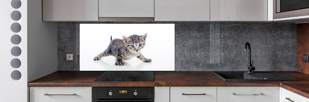 Cooker splashback Small cat