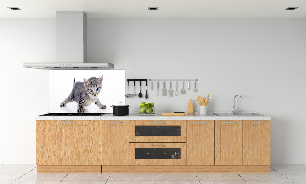 Cooker splashback Small cat