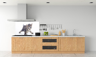 Cooker splashback Small cat