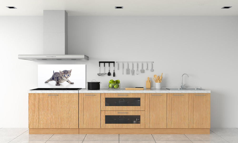 Cooker splashback Small cat