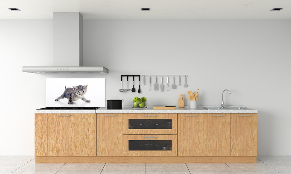 Cooker splashback Small cat