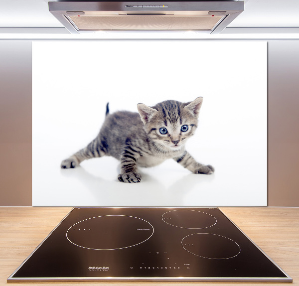 Cooker splashback Small cat