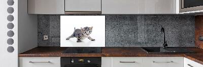 Cooker splashback Small cat