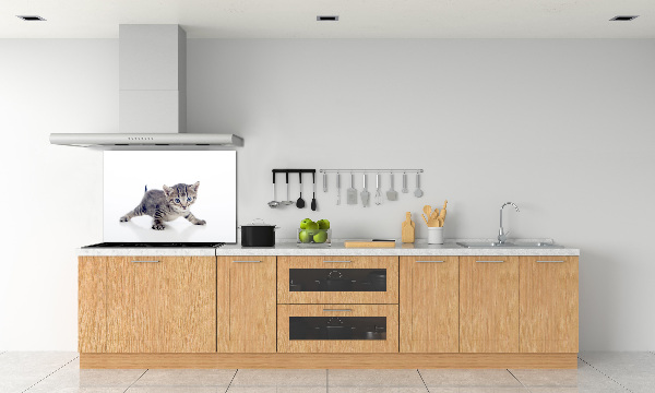 Cooker splashback Small cat