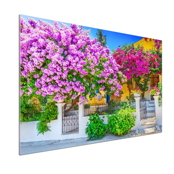 Cooker splashback House with bougenvilla