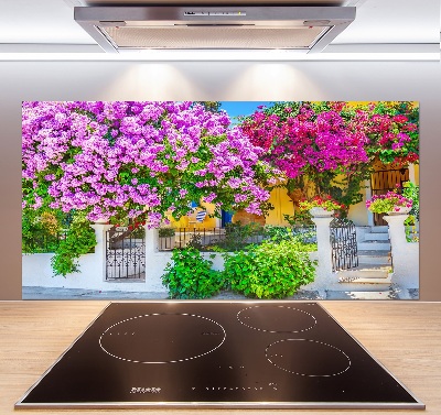 Cooker splashback House with bougenvilla