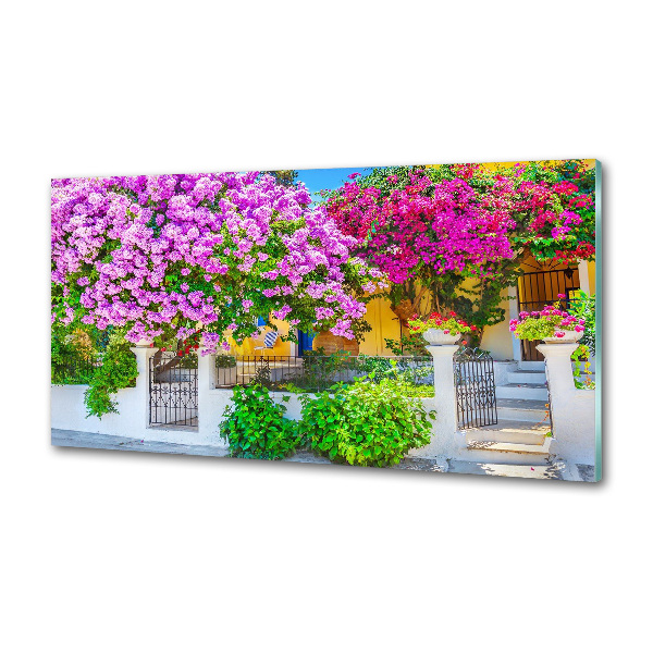 Cooker splashback House with bougenvilla