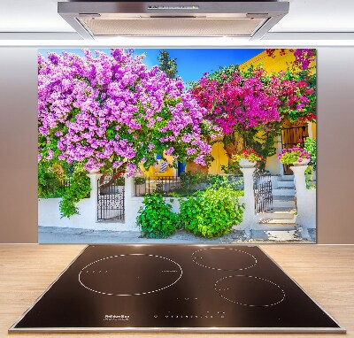 Cooker splashback House with bougenvilla